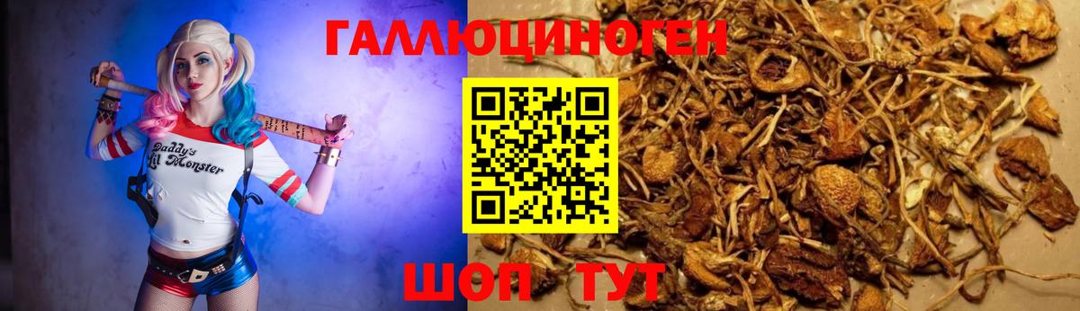 Ливны  Псилоцибиновые грибы Psilocybe  Вход с VPN 